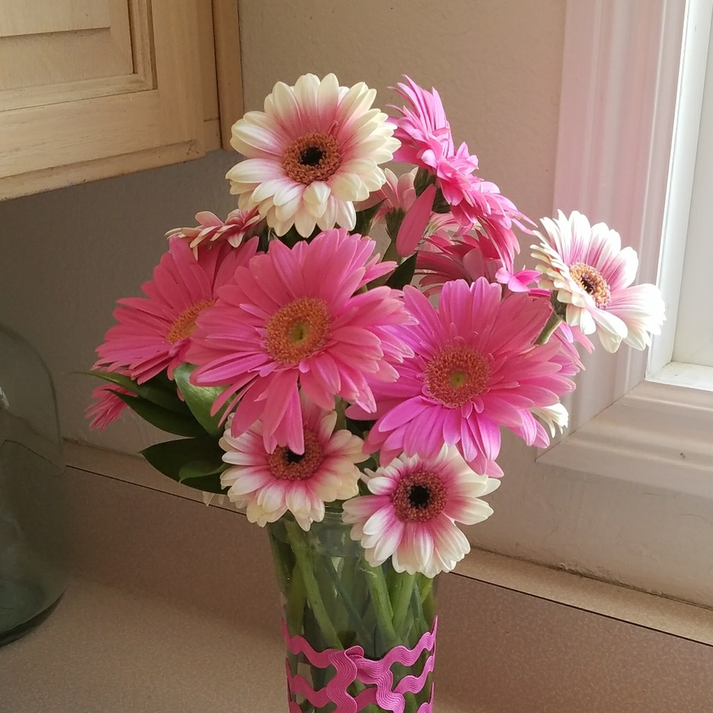 Meet your Posher, Tracie